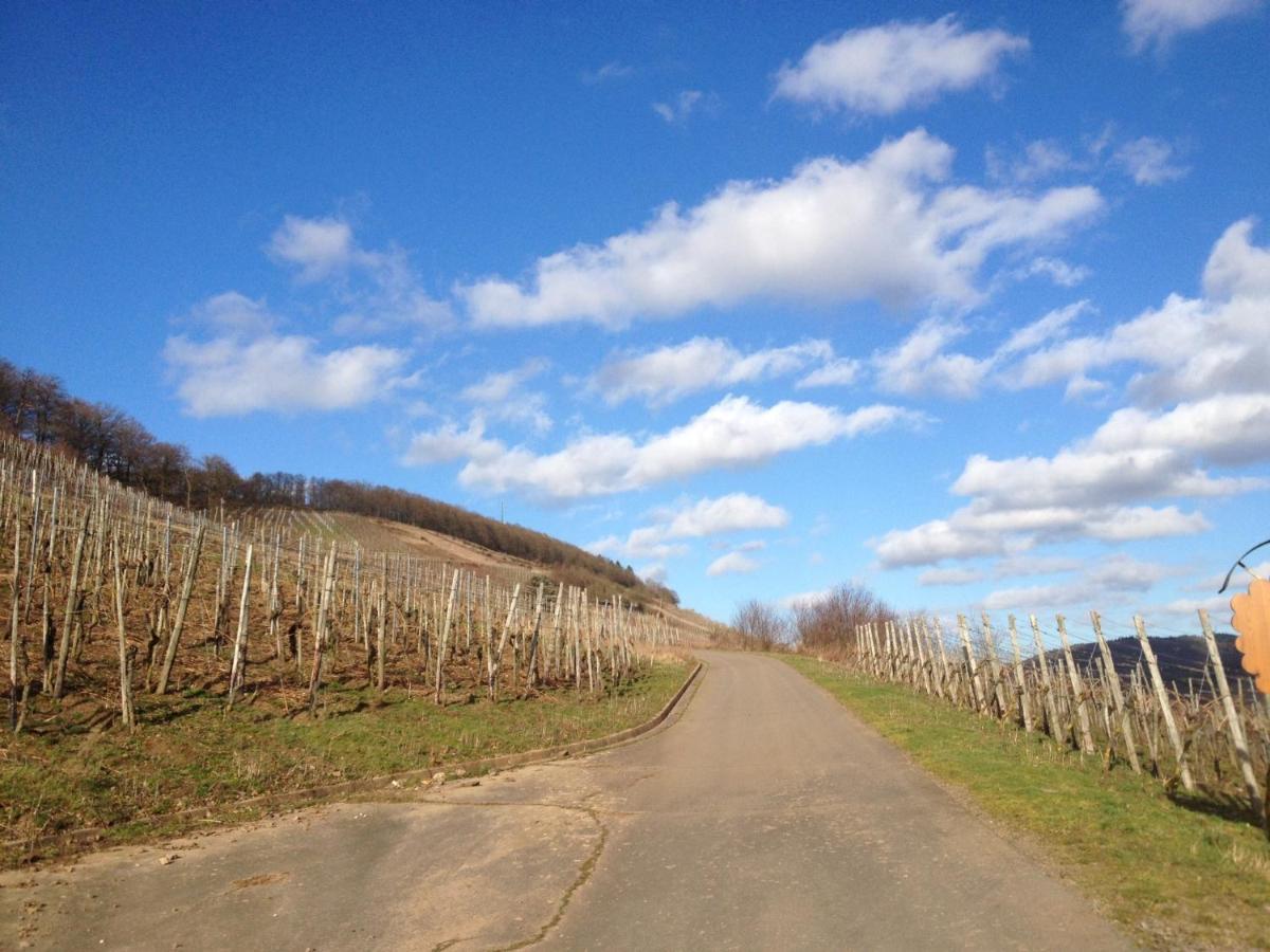 Hotel Weingut Dehren Ellenz-Poltersdorf Dış mekan fotoğraf
