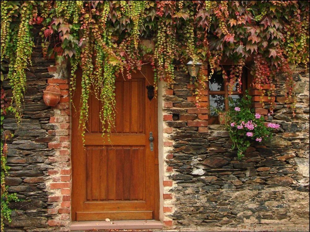 Hotel Weingut Dehren Ellenz-Poltersdorf Dış mekan fotoğraf