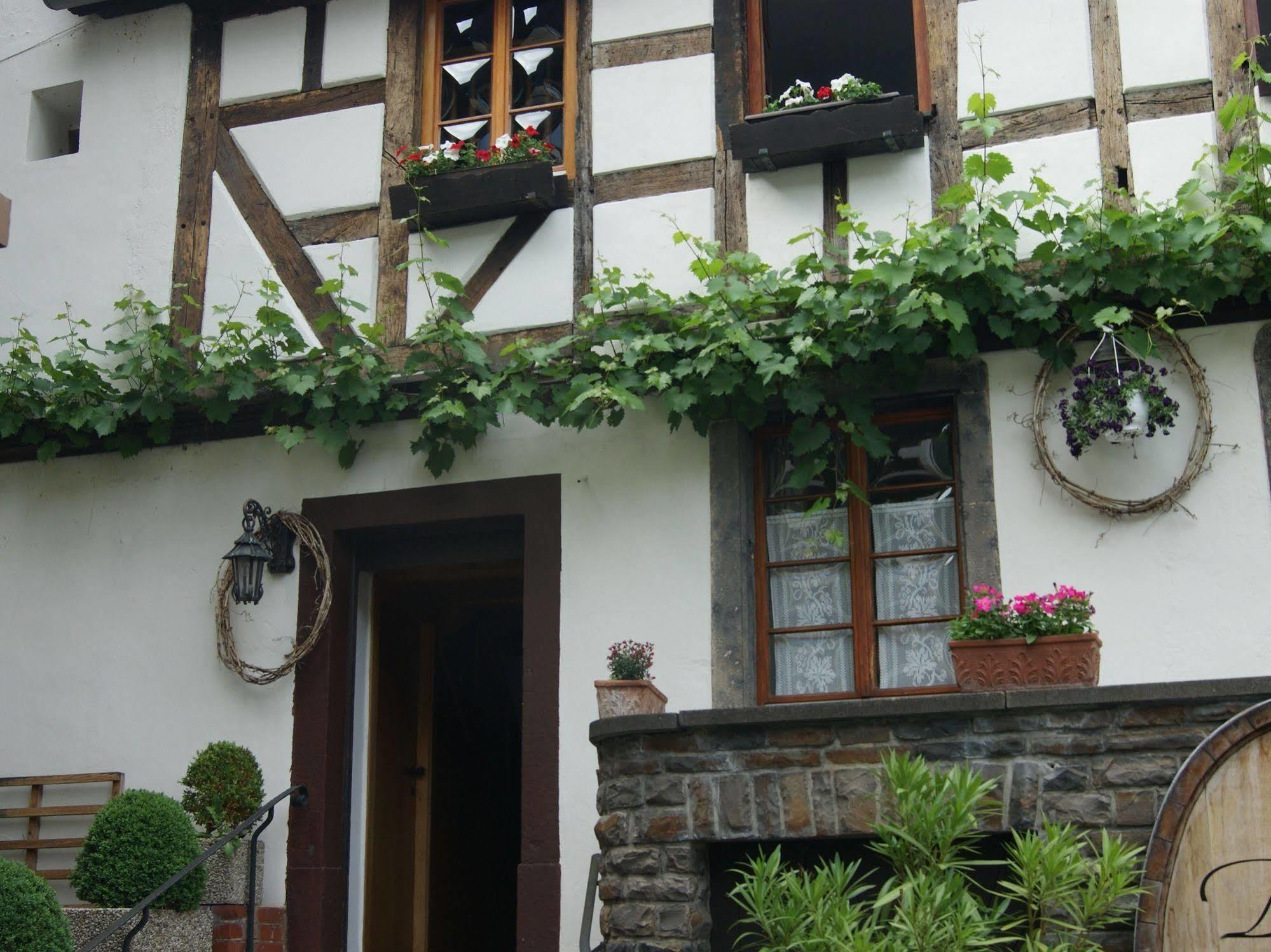 Hotel Weingut Dehren Ellenz-Poltersdorf Dış mekan fotoğraf