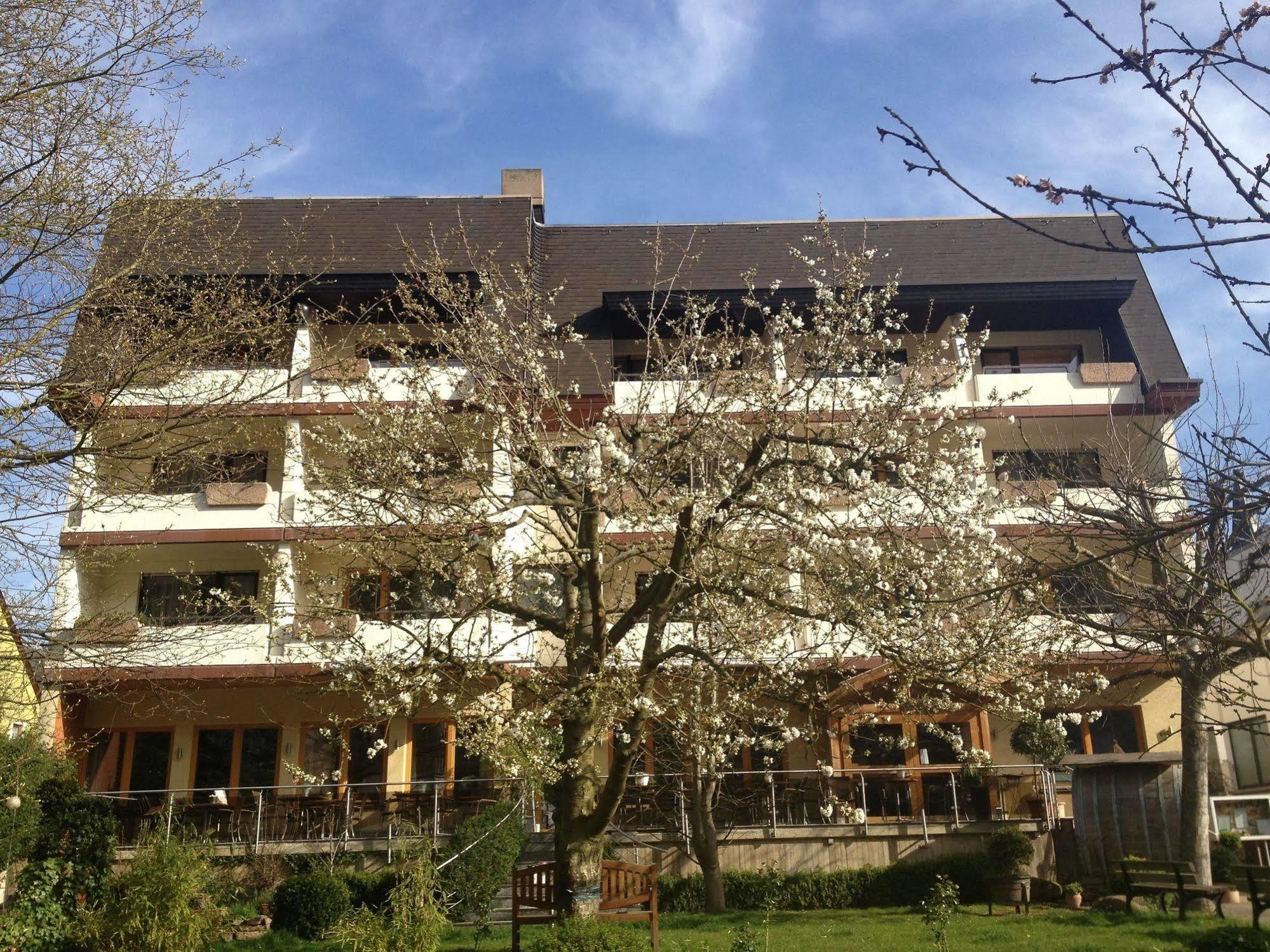 Hotel Weingut Dehren Ellenz-Poltersdorf Dış mekan fotoğraf