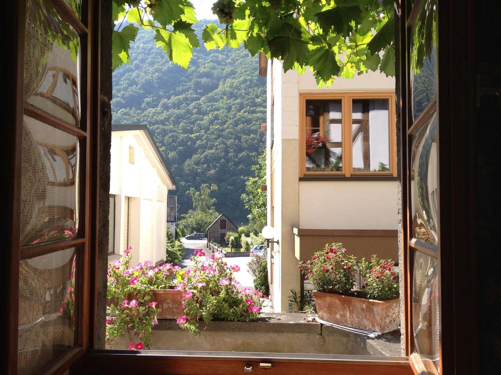 Hotel Weingut Dehren Ellenz-Poltersdorf Dış mekan fotoğraf