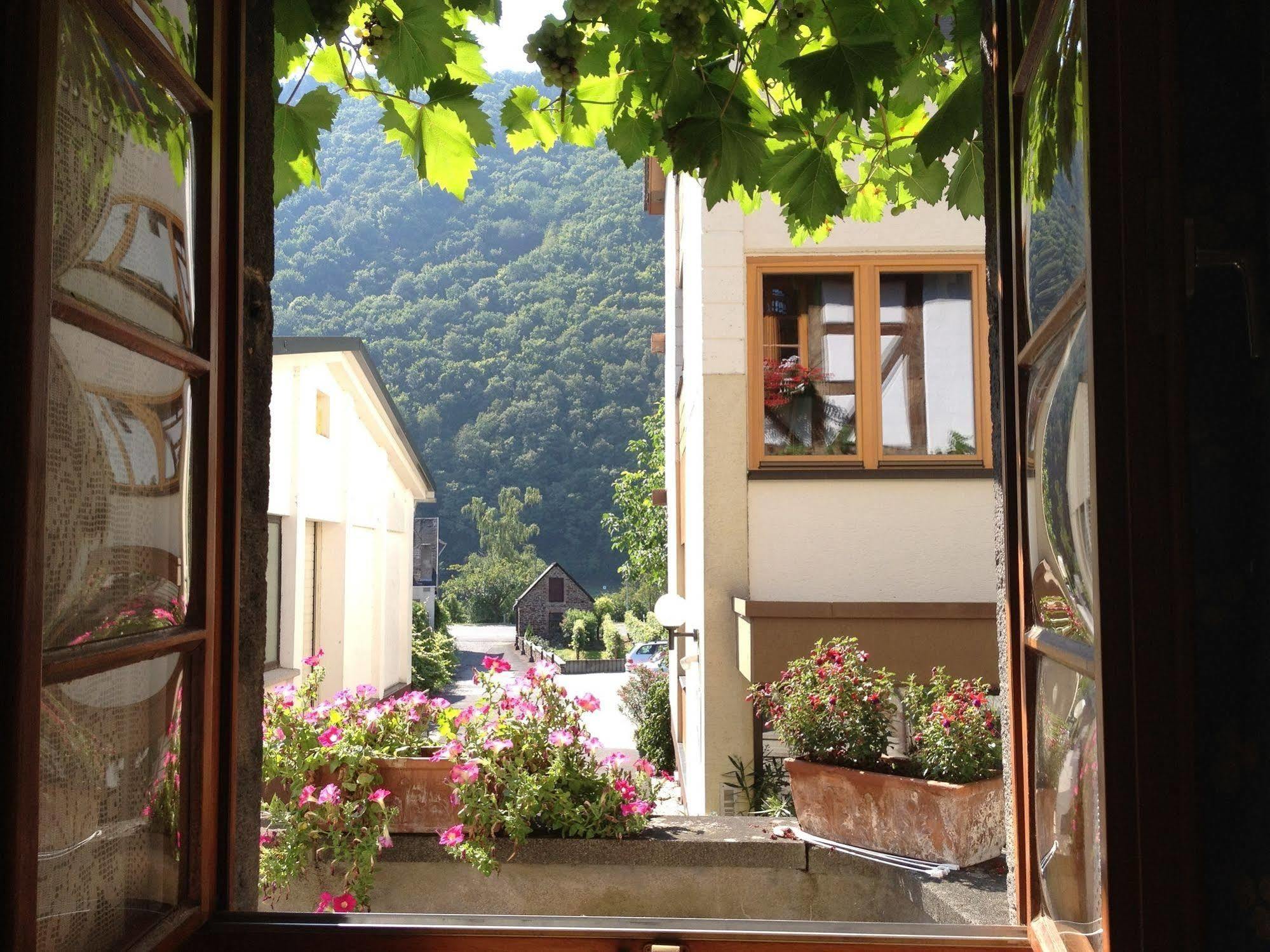 Hotel Weingut Dehren Ellenz-Poltersdorf Dış mekan fotoğraf